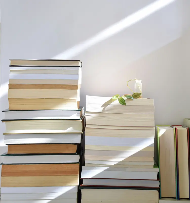 Image of Banner Image containing a bookshelf